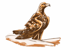 Aigle royal