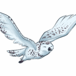 Harfang des neiges