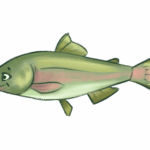 Saumon
