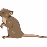 Souris
